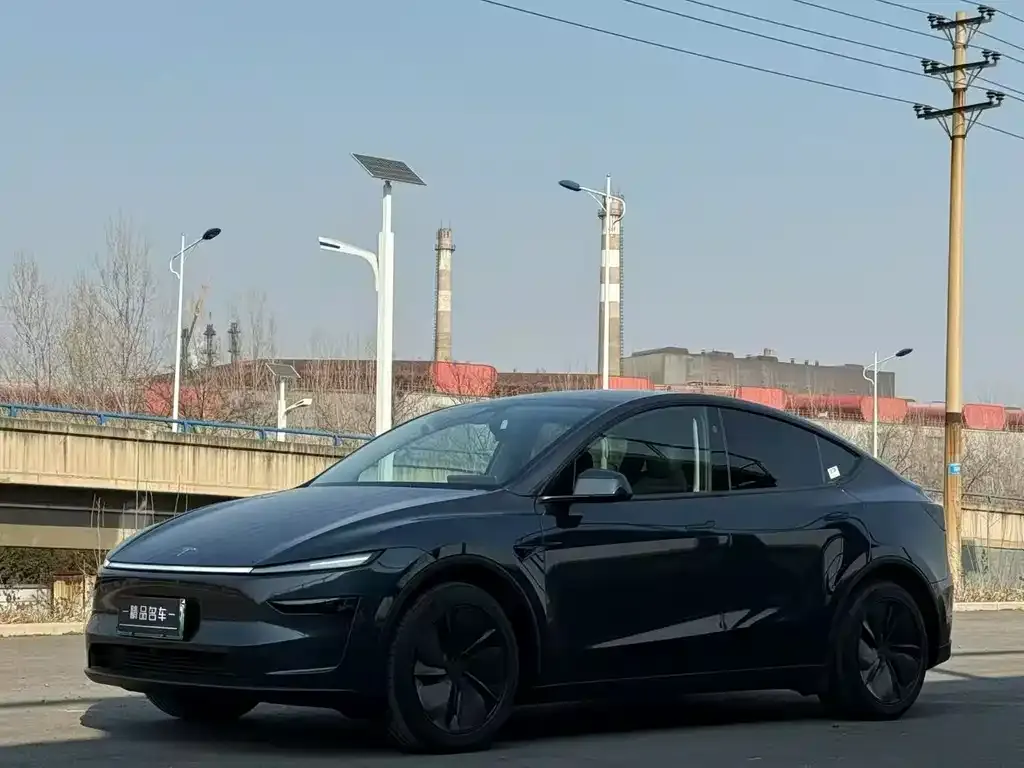 Tesla Model Y — фото 1