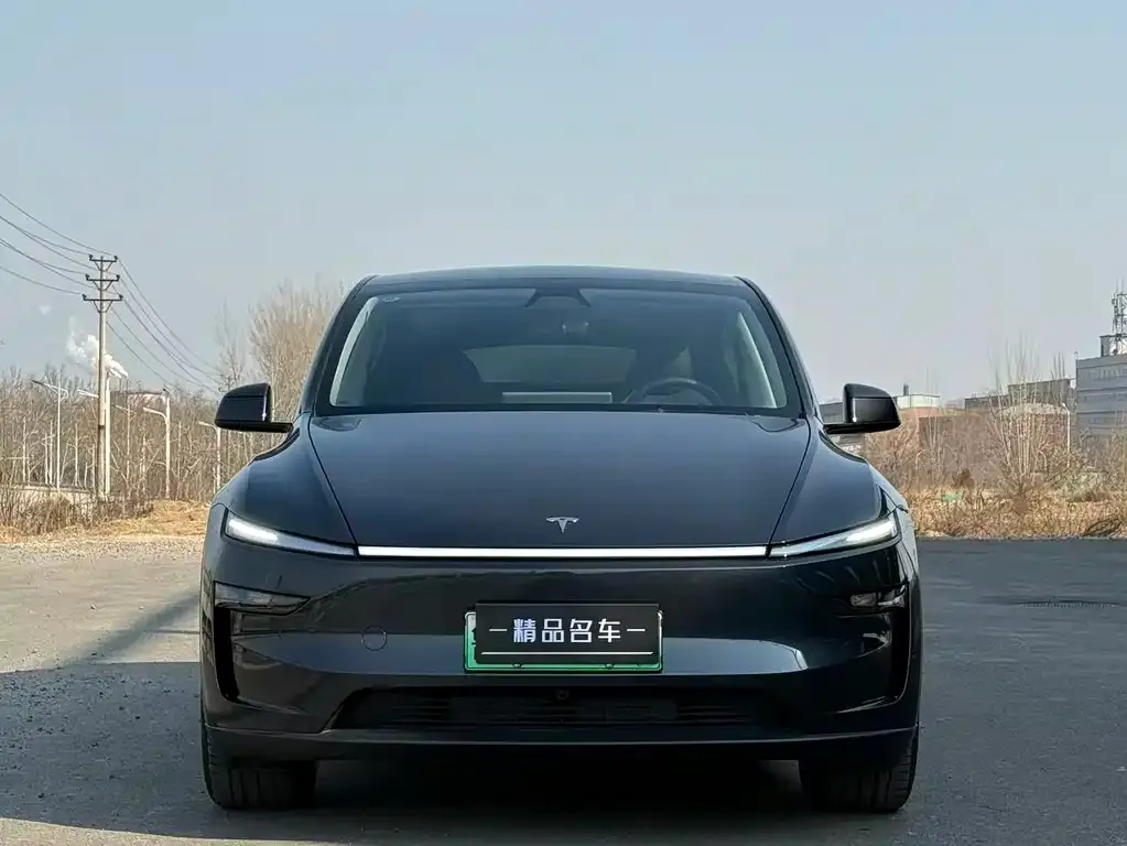 Tesla Model Y — фото 3