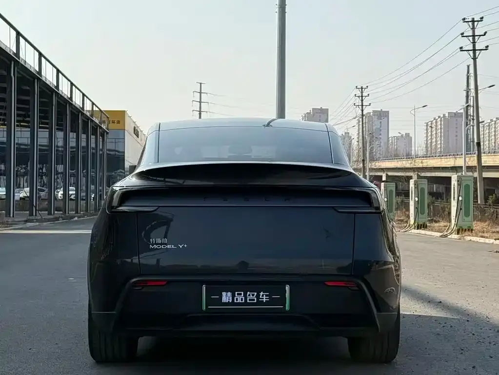 Tesla Model Y — фото 6