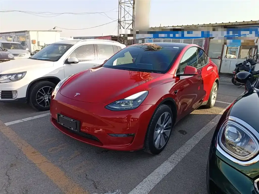 Tesla Model Y 2021 из CN, фото 9