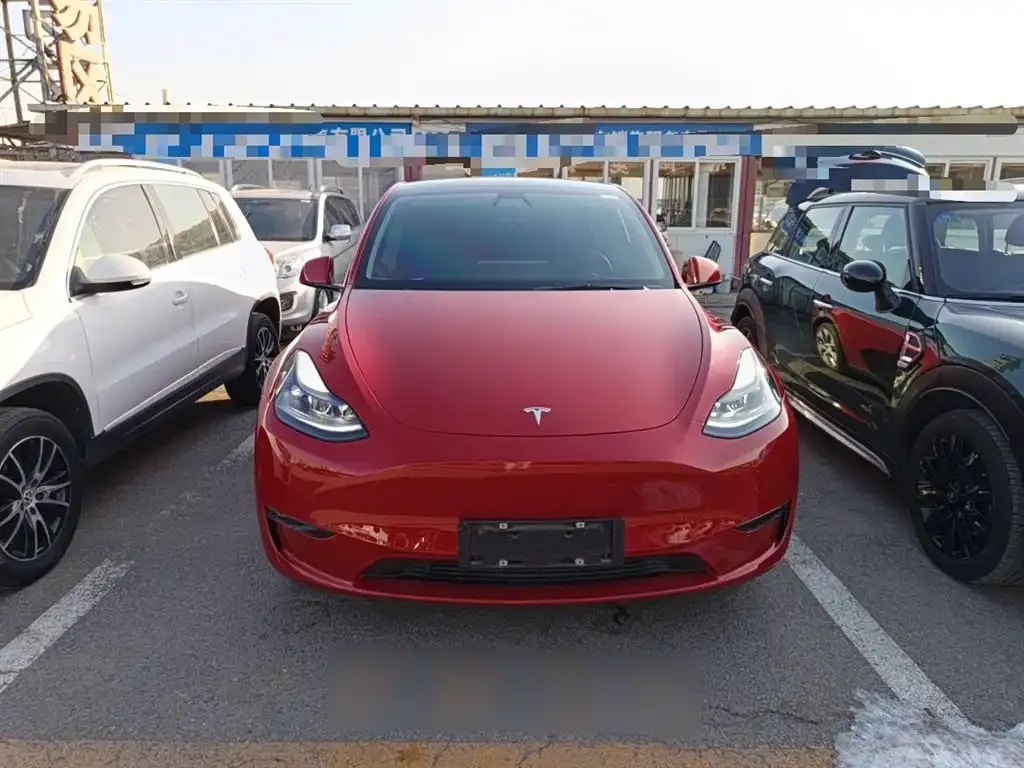 Tesla Model Y 2021 из CN, фото 10