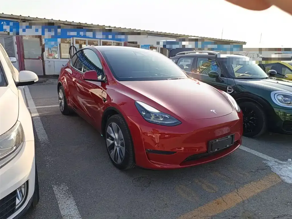Tesla Model Y 2021 из CN, фото 4
