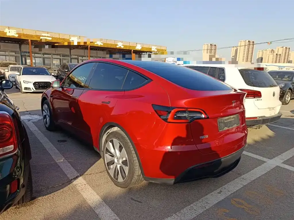 Tesla Model Y 2021 из CN, фото 5