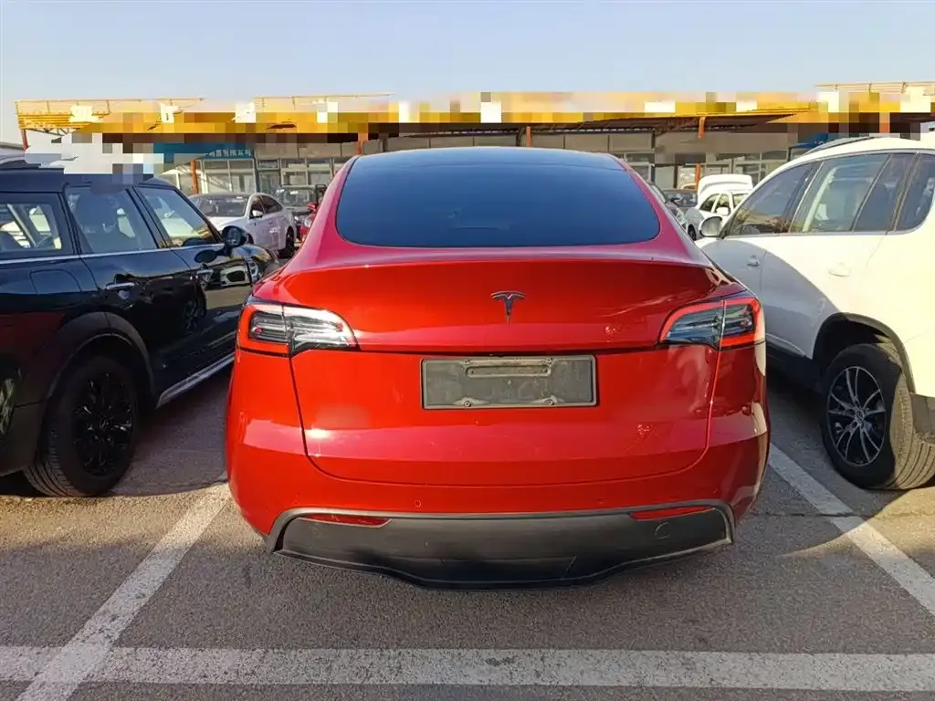 Tesla Model Y 2021 из CN, фото 6
