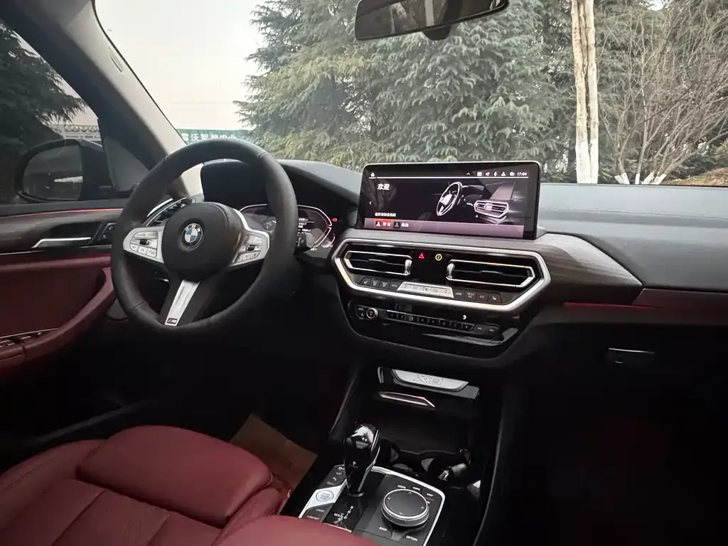 BMW X3 2024 из CN, фото 2