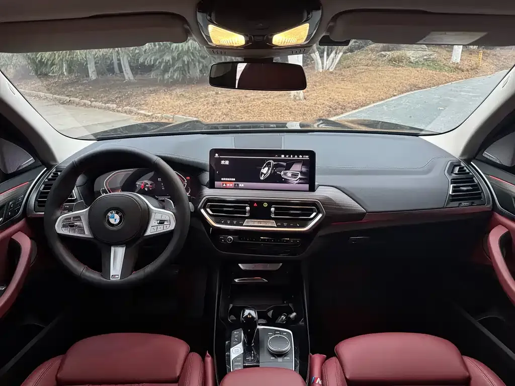 BMW X3 2024 из CN, фото 5