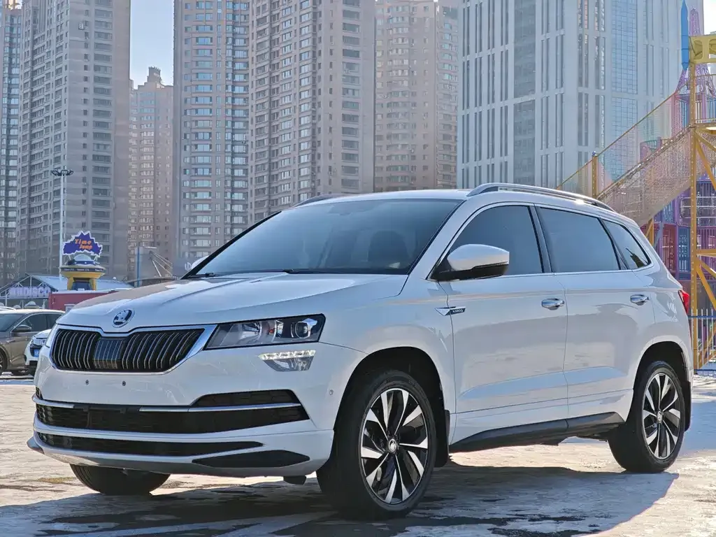 Skoda Karoq — фото 7