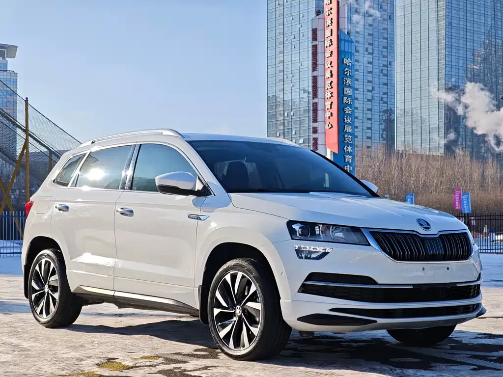 Skoda Karoq — фото 6