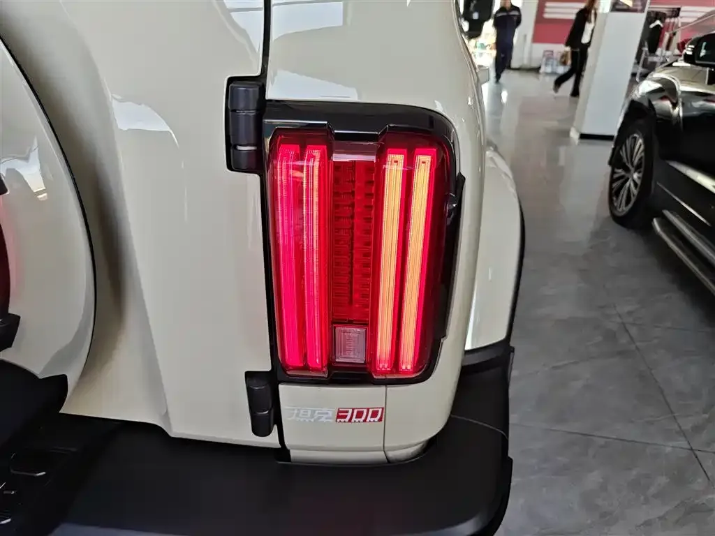 Tank 300 New Energy 2025 из CN, фото 2