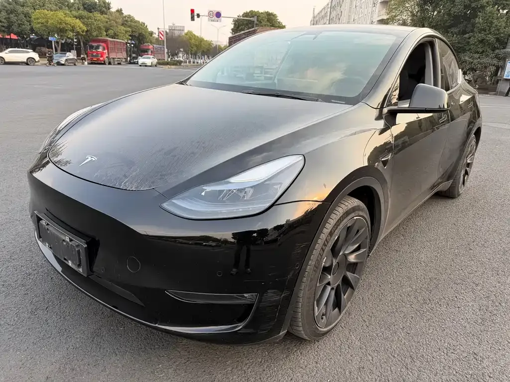 Tesla Model Y 2021 из CN, фото 1