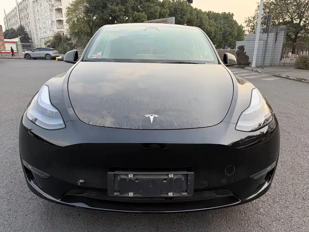 Tesla Model Y 2021 из CN, фото 7