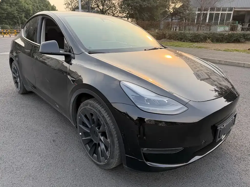 Tesla Model Y 2021 из CN, фото 5
