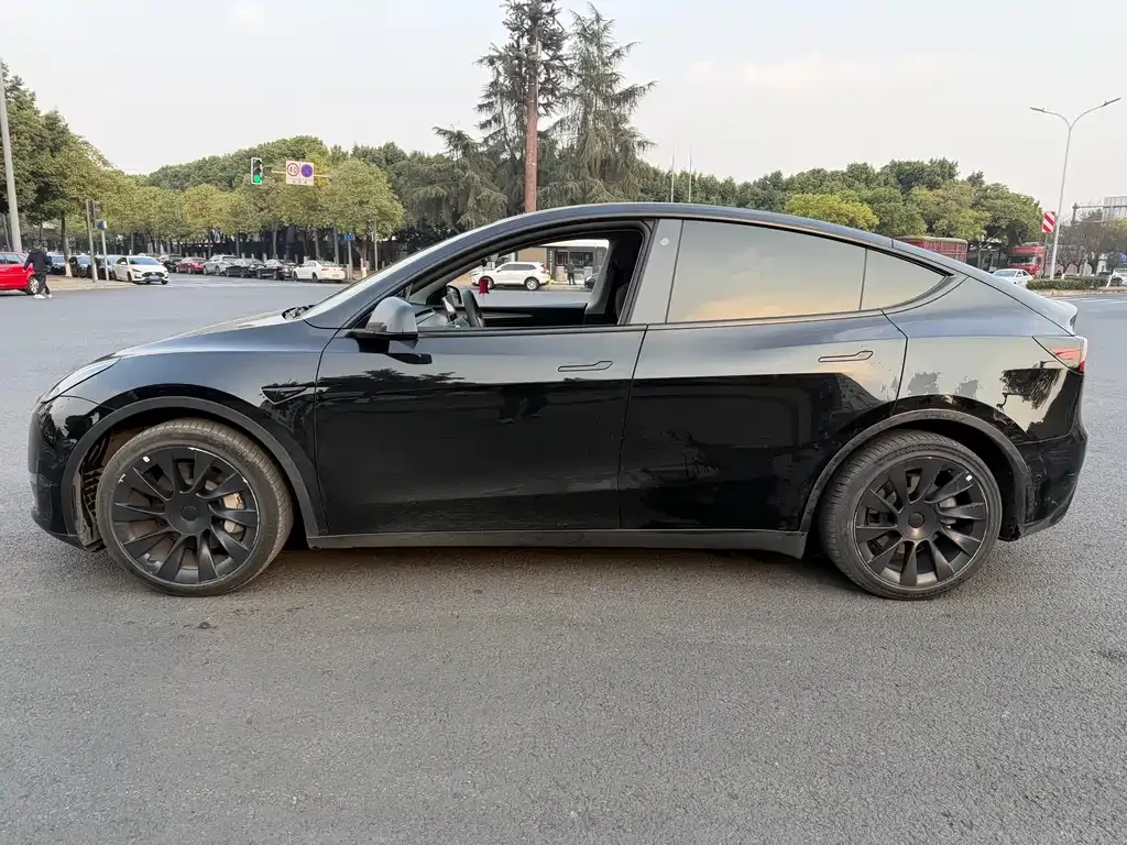 Tesla Model Y 2021 из CN, фото 4