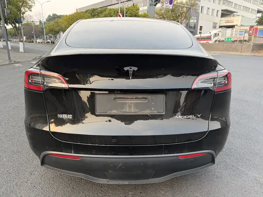 Tesla Model Y 2021 из CN, фото 3