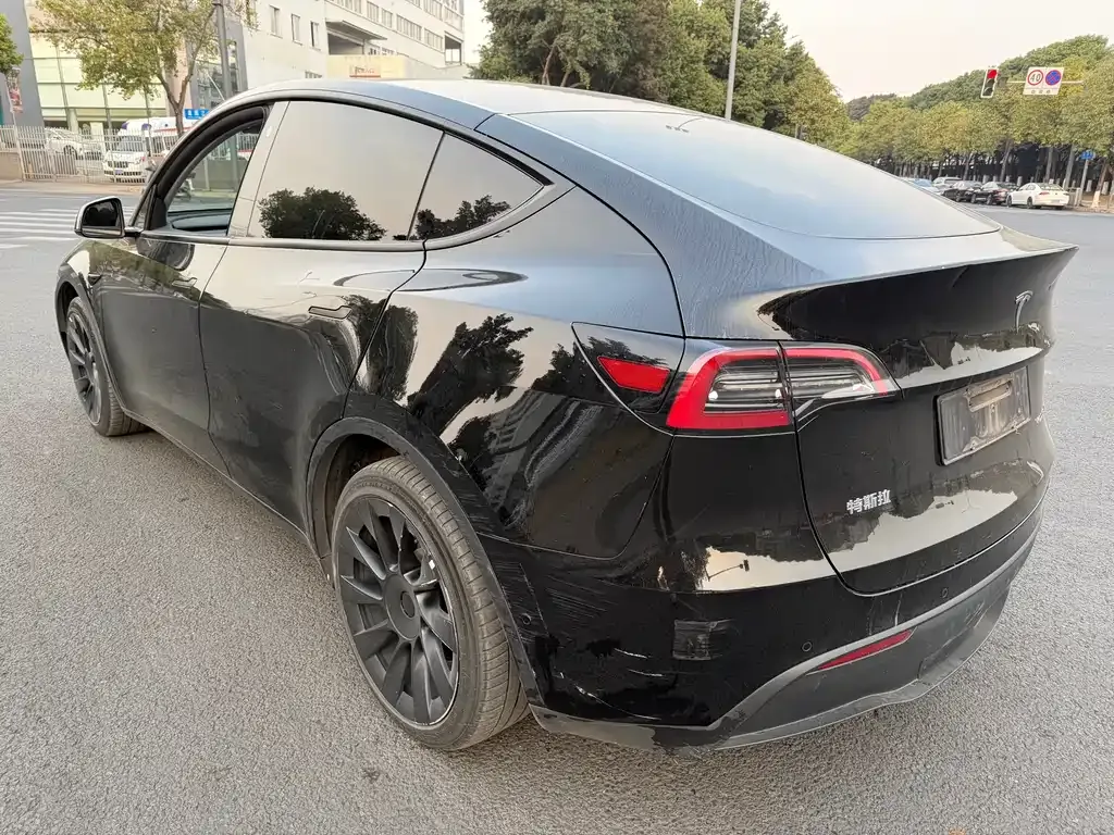 Tesla Model Y 2021 из CN, фото 10