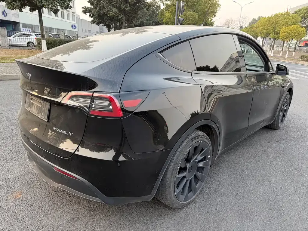 Tesla Model Y 2021 из CN, фото 9