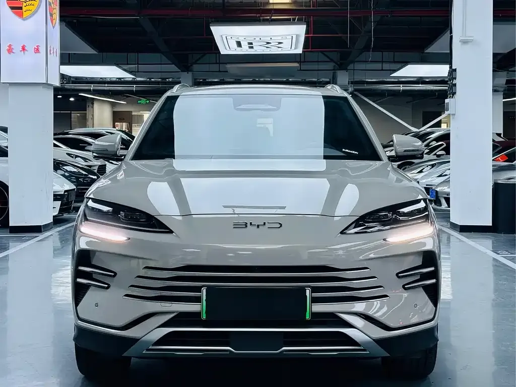 BYD PLUS New Energy 2025 из CN, фото 9