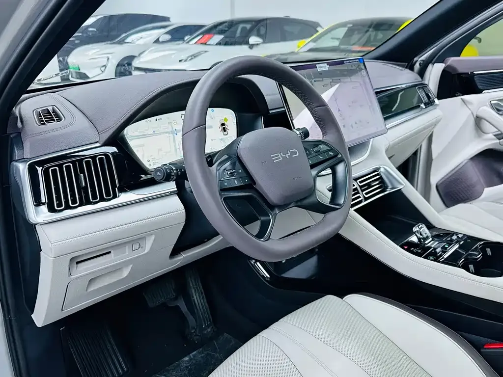 BYD PLUS New Energy 2025 из CN, фото 3