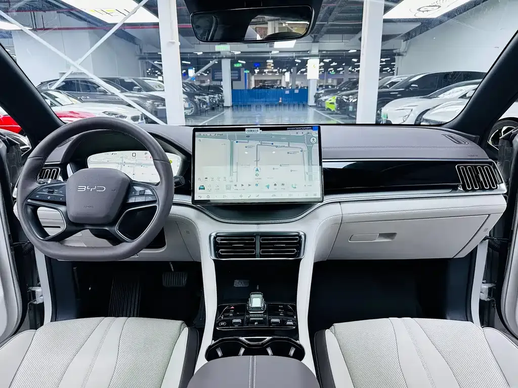BYD PLUS New Energy 2025 из CN, фото 4