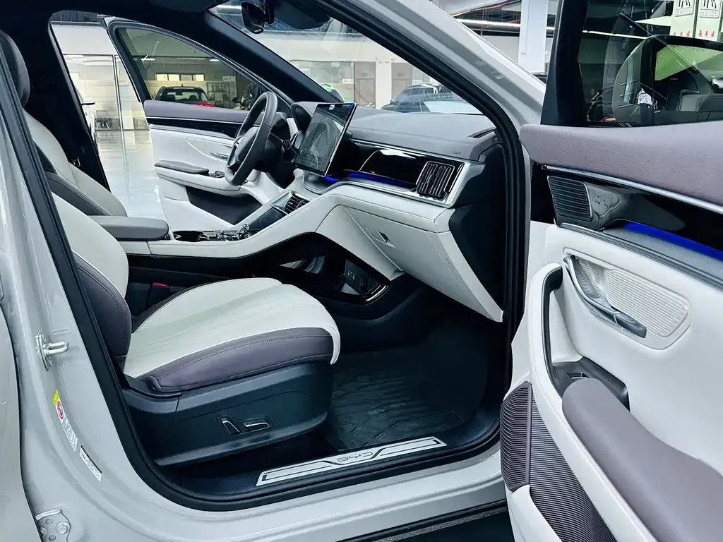 BYD PLUS New Energy 2025 из CN, фото 7