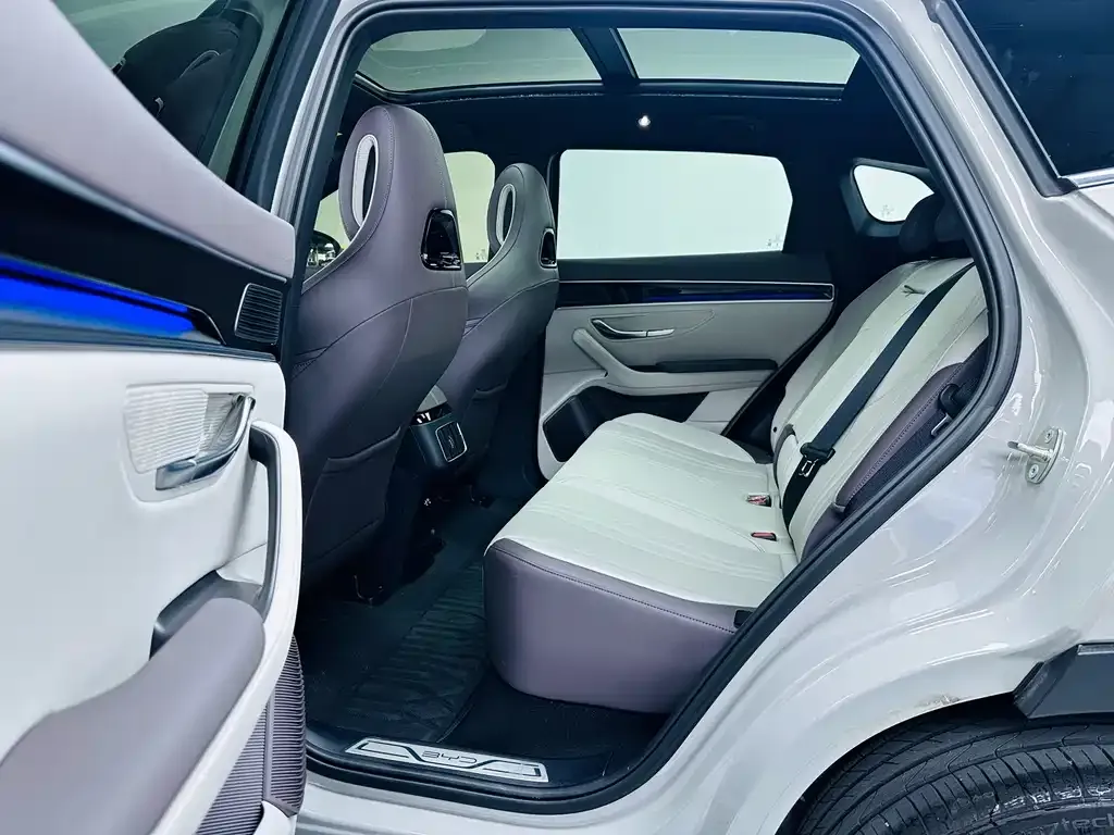 BYD PLUS New Energy 2025 из CN, фото 2