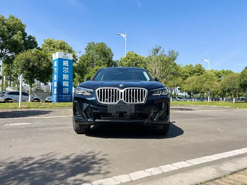 BMW X3 2024 из CN, фото 8