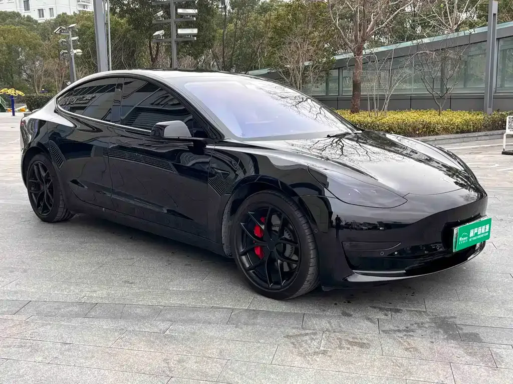 Tesla Model 3 2021 из CN, фото 1