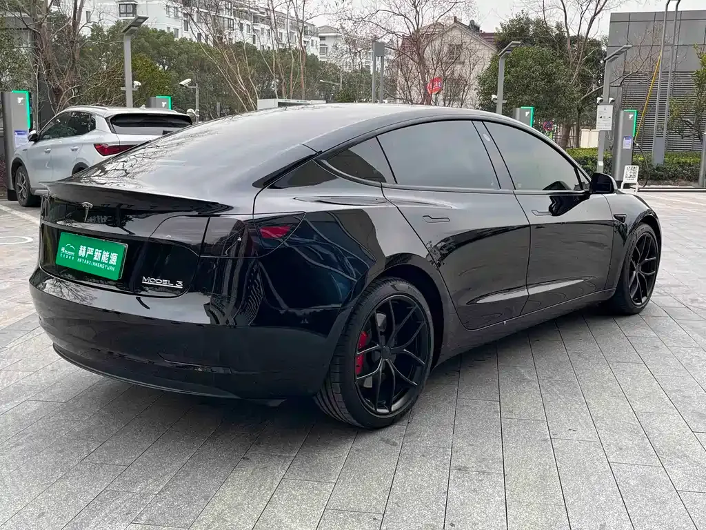 Tesla Model 3 2021 из CN, фото 8