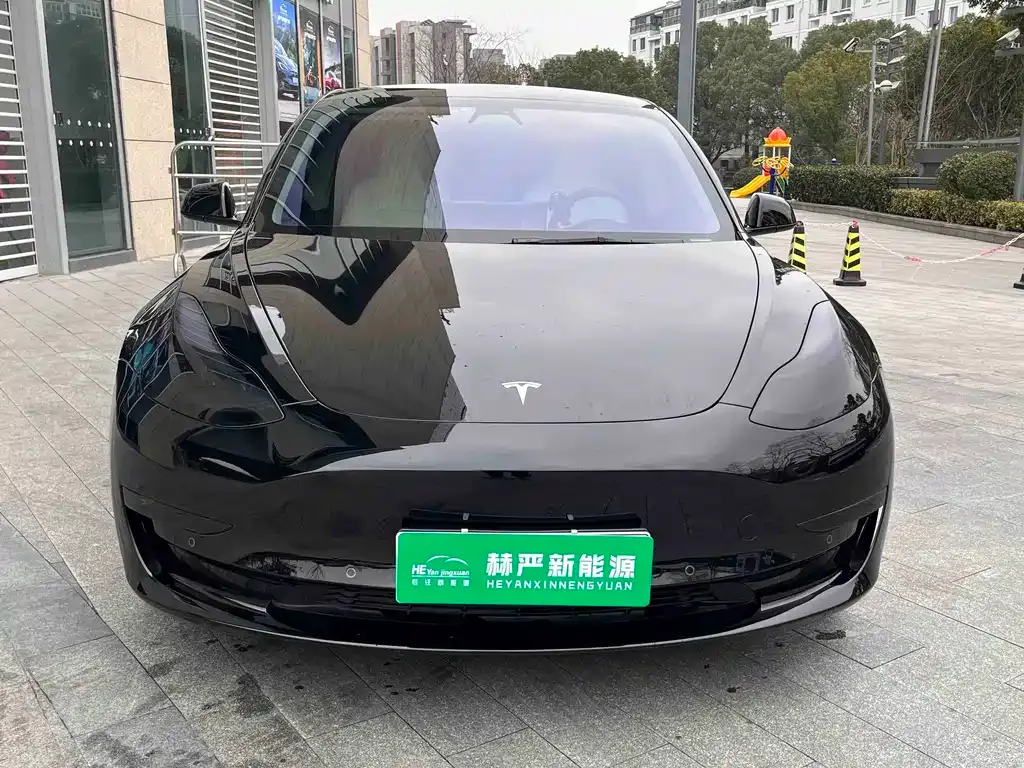 Tesla Model 3 2021 из CN, фото 5