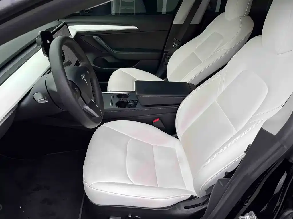 Tesla Model 3 2021 из CN, фото 2