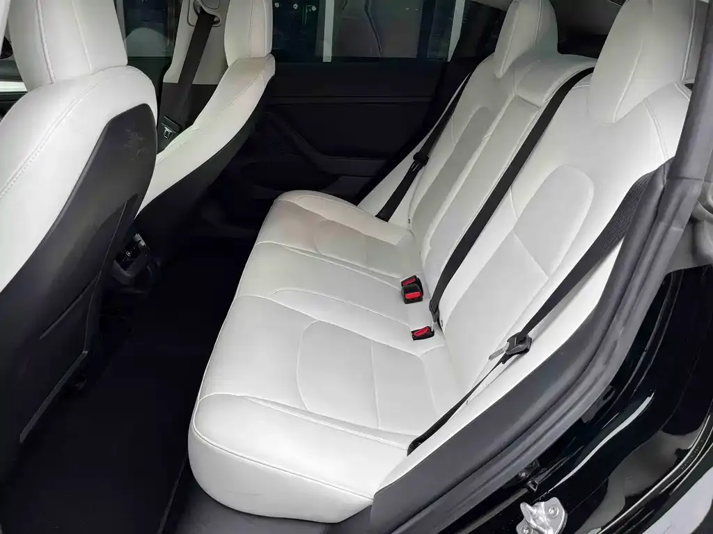 Tesla Model 3 2021 из CN, фото 6