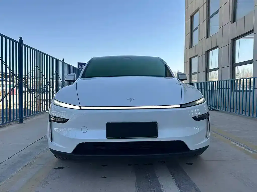 Tesla Model Y — фото 7