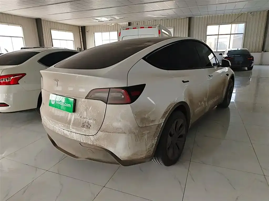 Tesla Model Y 2024 из CN, фото 2
