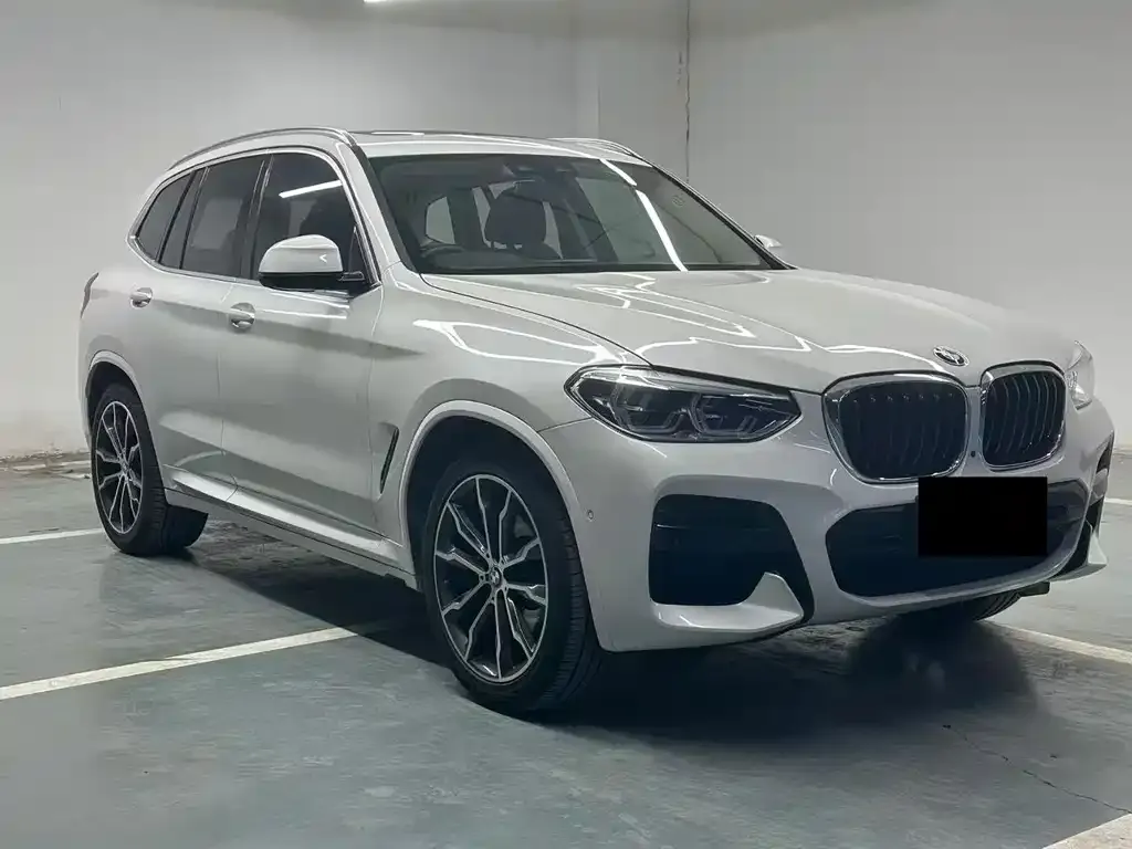 BMW X3 2021 из CN, фото 3