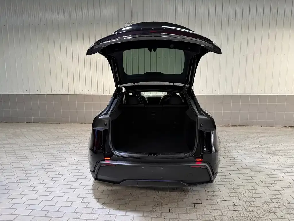 Tesla Model Y 2026 из CN, фото 10