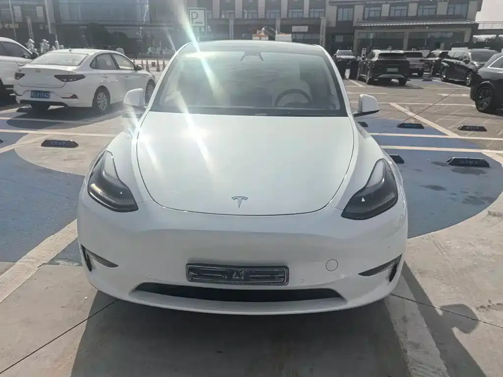 Tesla Model Y — фото 2
