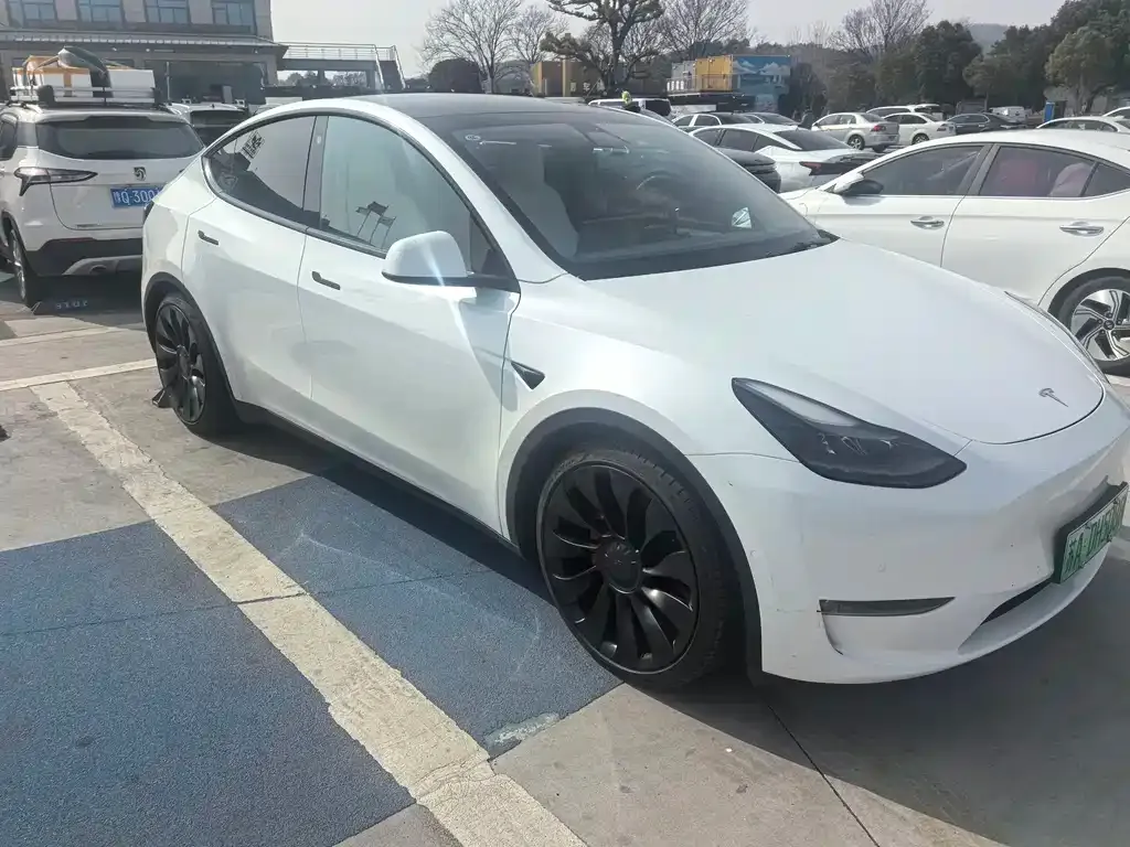 Tesla Model Y — фото 10