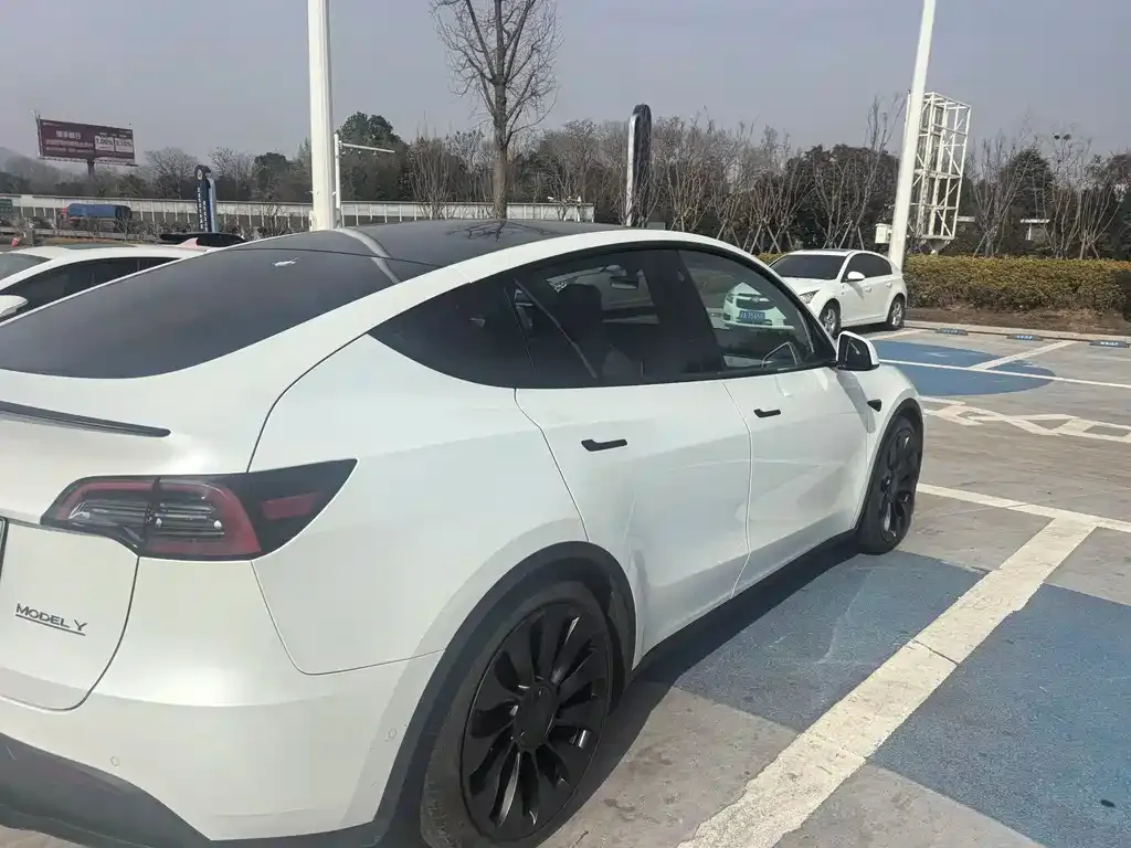 Tesla Model Y — фото 8