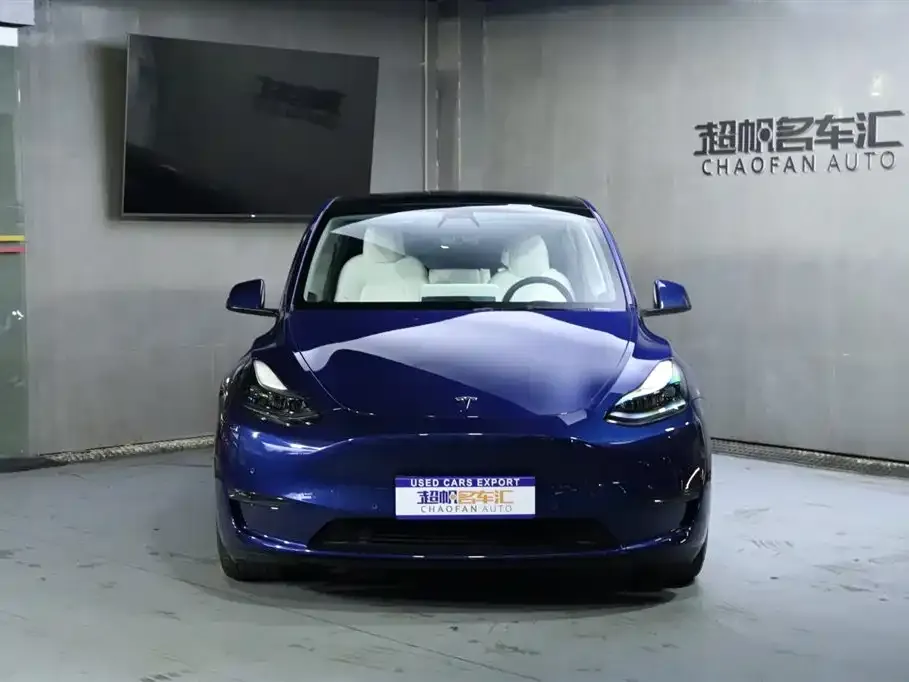 Tesla Model Y 2023 из CN, фото 4