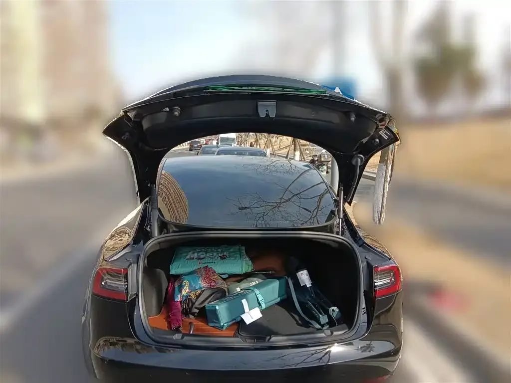 Tesla Model 3 2023 из CN, фото 7