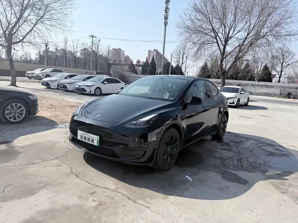 Tesla Model Y 2023 из CN, фото 1