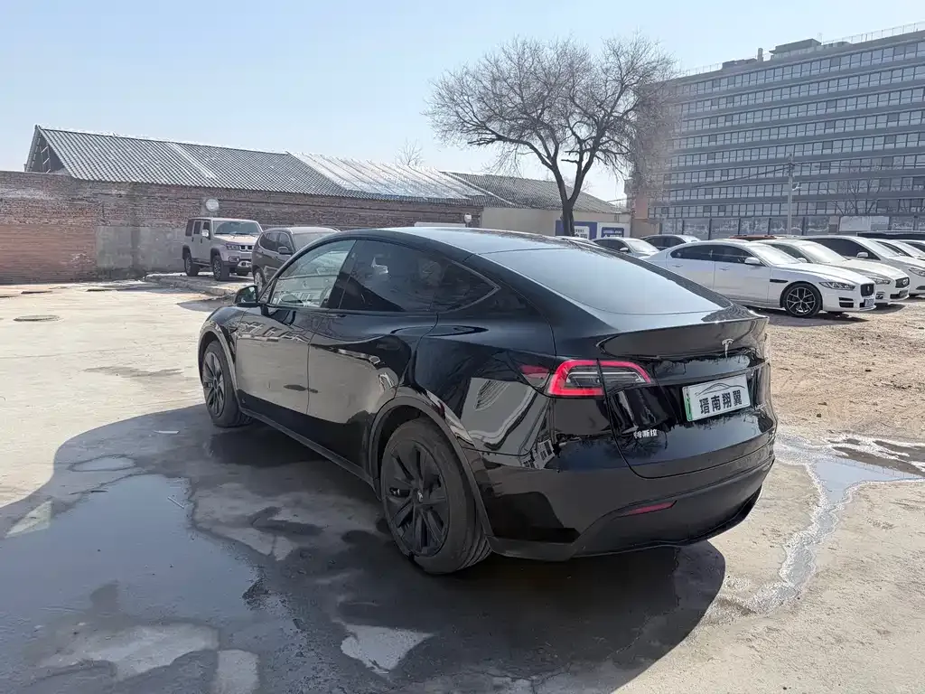 Tesla Model Y 2023 из CN, фото 6