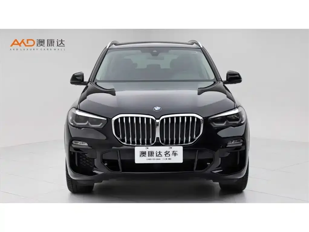 BMW X5 (Import) 2021 из CN, фото 3