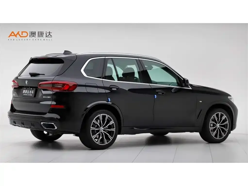 BMW X5 (Import) 2021 из CN, фото 4
