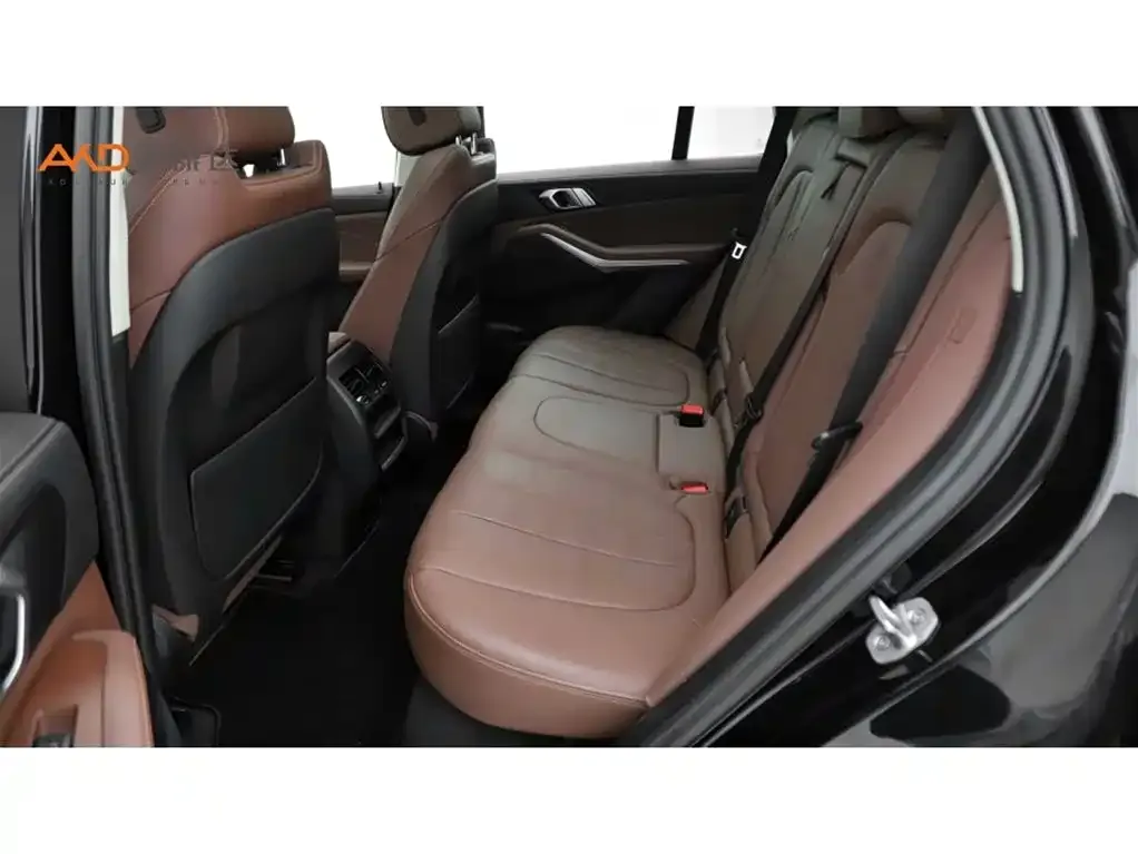 BMW X5 (Import) 2021 из CN, фото 9