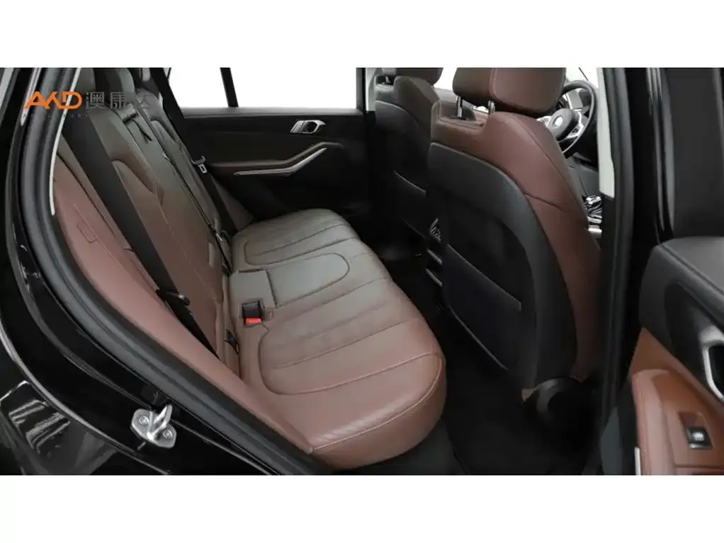 BMW X5 (Import) 2021 из CN, фото 6