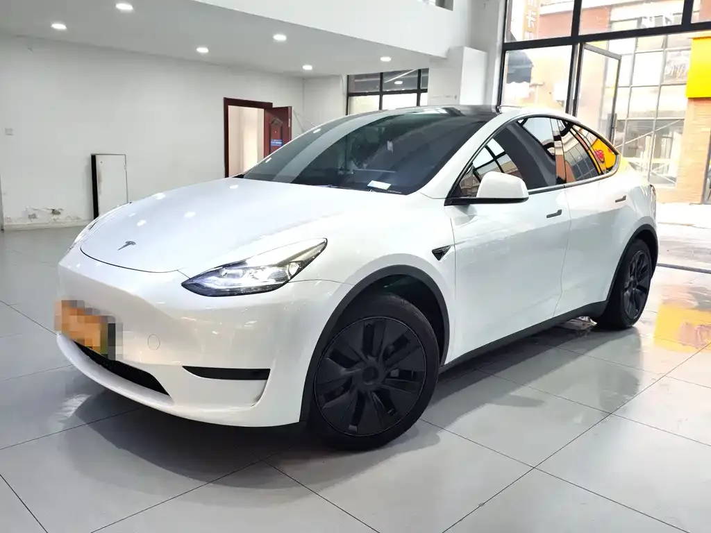 Tesla Model Y 2024 из CN, фото 1
