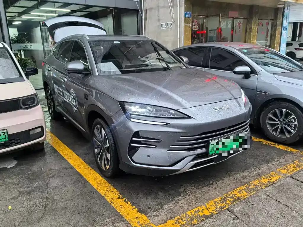 BYD PLUS New Energy 2025 из CN, фото 1