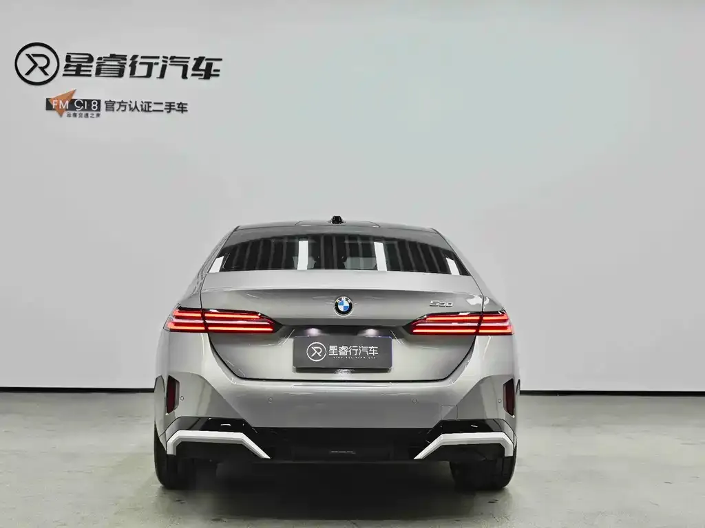 BMW 5 Series 2024 из CN, фото 4