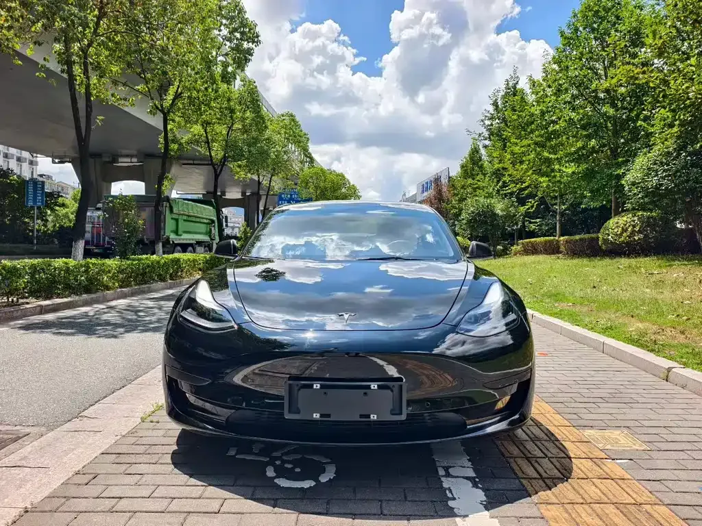 Tesla Model 3 2021 из CN, фото 1